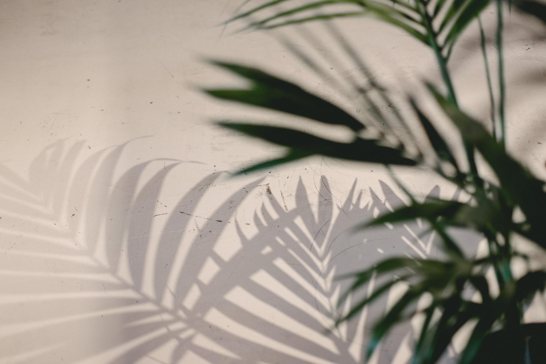 Amsterdam blog (2 of 9)