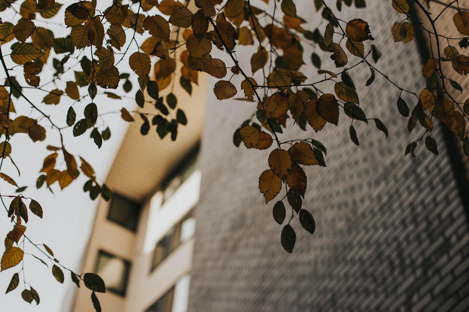 bricklane dave mullen jnr 21