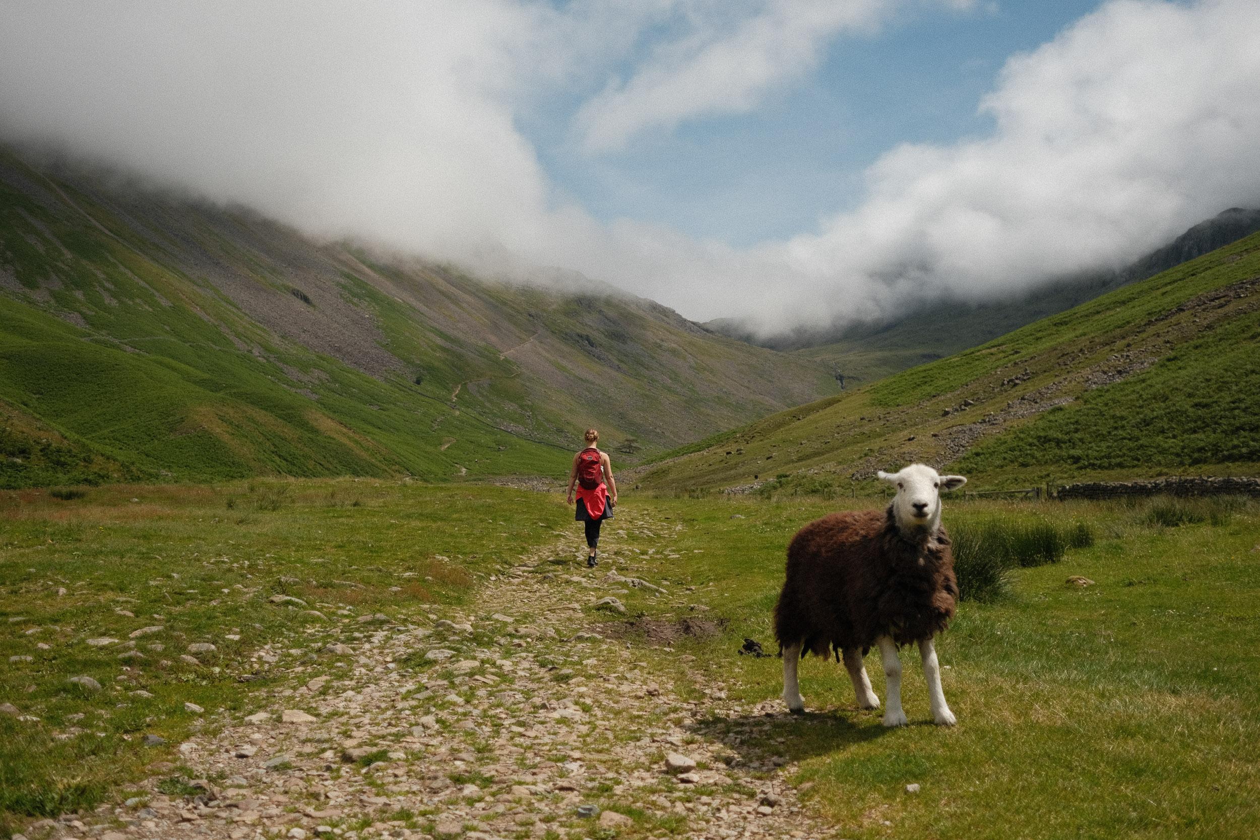 Wasdale Lake District 2635