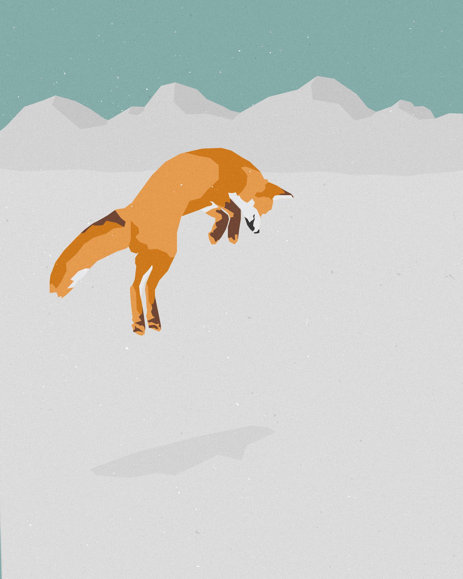 Fox diving head first into snow, Yellowstone NP