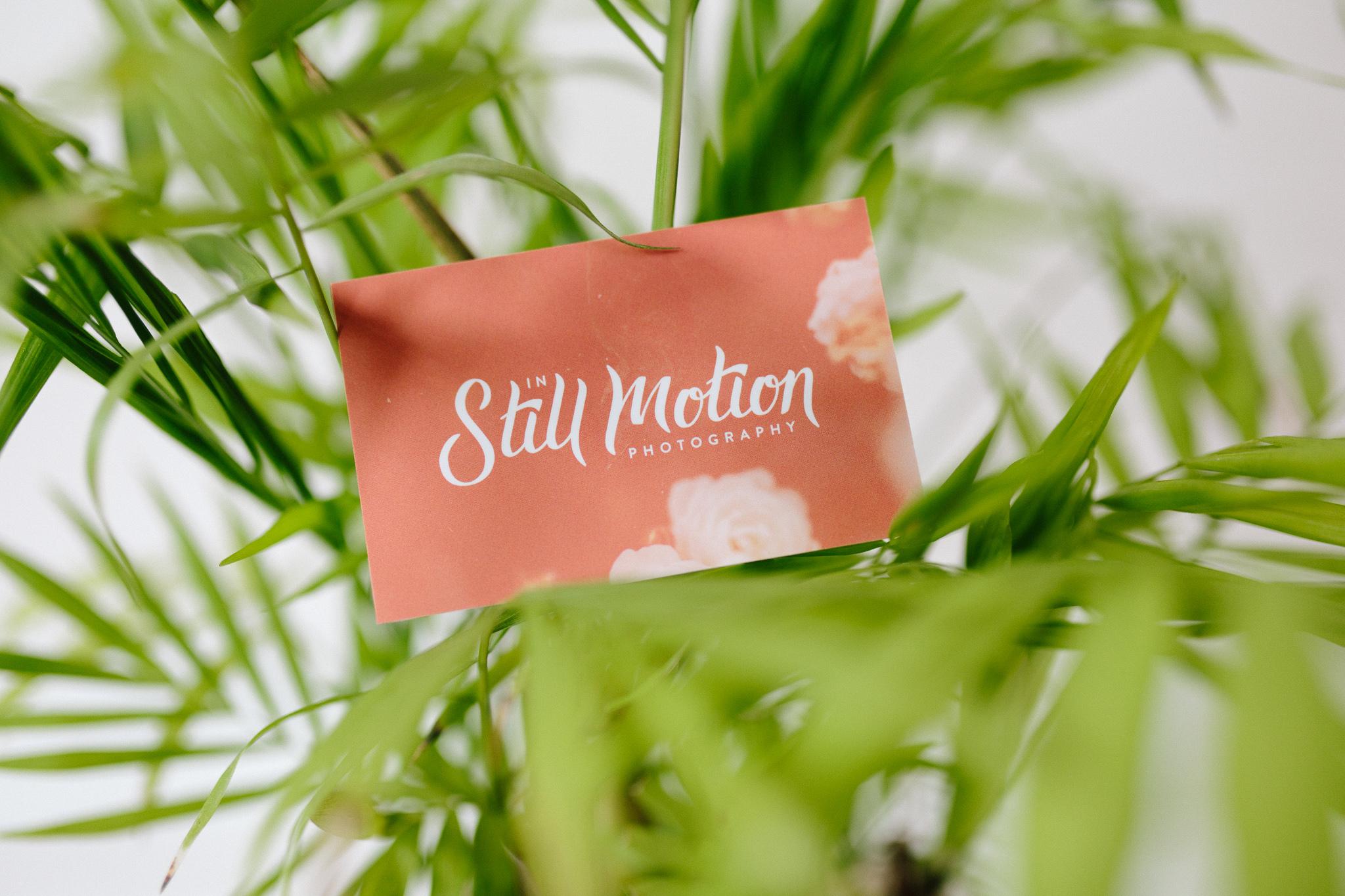 In still motion branding