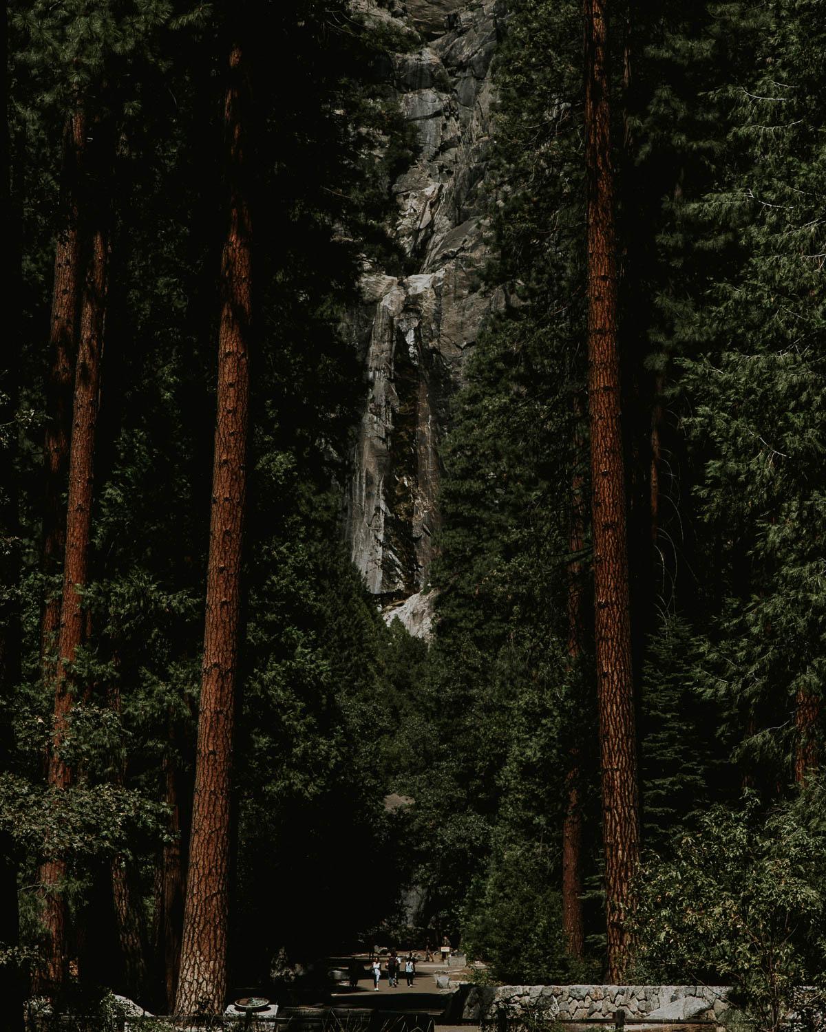 west coast photography dave mullen jnr 16