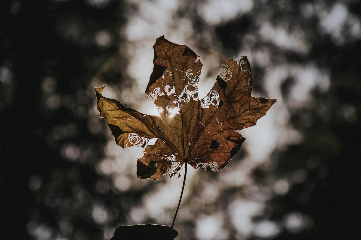 west coast photography dave mullen jnr 19