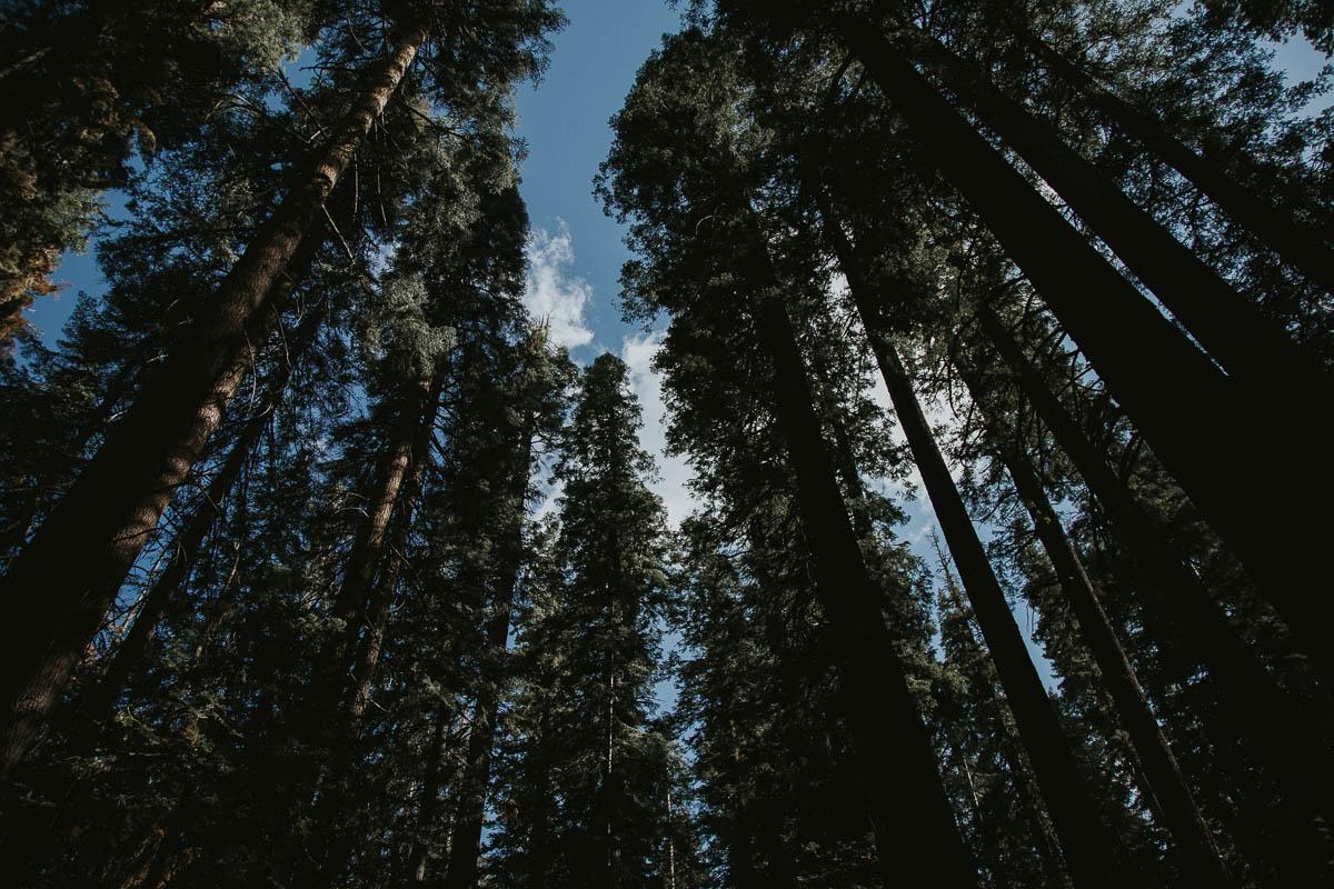 west coast photography dave mullen jnr 20